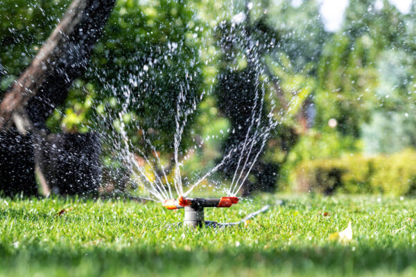 siebenzahn-gartenbau-bewaesserungs-systeme-02