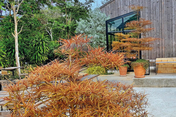 siebenzahn-gartenbau-neuanlage-aussenplatten-modern-02-quadrat