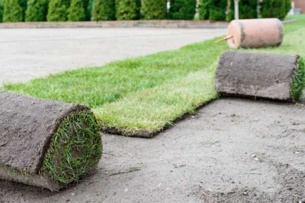 siebenzahn-gartenbau-neuanlage-rollrasen