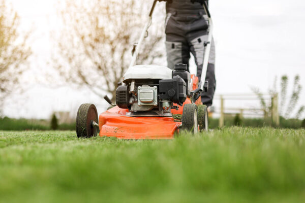 siebenzahn-gartenbau-service-und-pflege-rasen-maehen