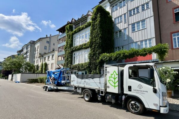 siebenzahn-gartenbau-fassaden-rueckschnitt-auto-basel-quer