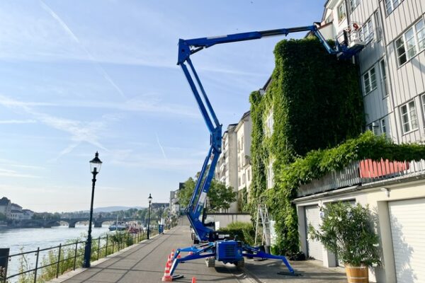 siebenzahn-gartenbau-fassaden-rueckschnitt-basel-quer